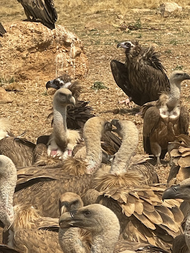 Photo from customer review