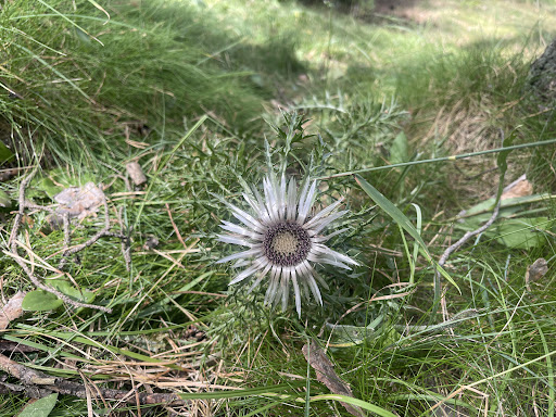 Photo from customer review