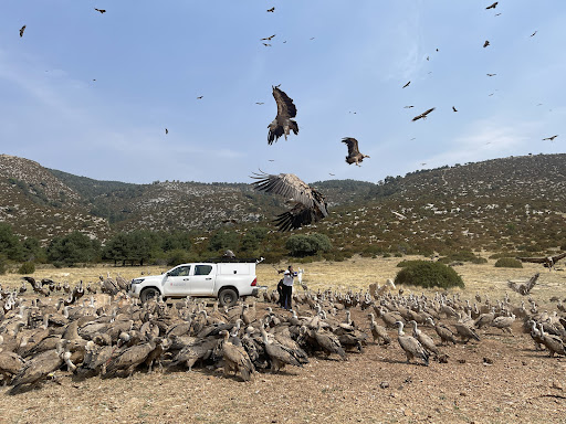 Photo from customer review