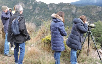 La brama del Cérvol a Boumort 2026: Escapades de proximitat en 4×4, verema i allotjament a Cal Riol