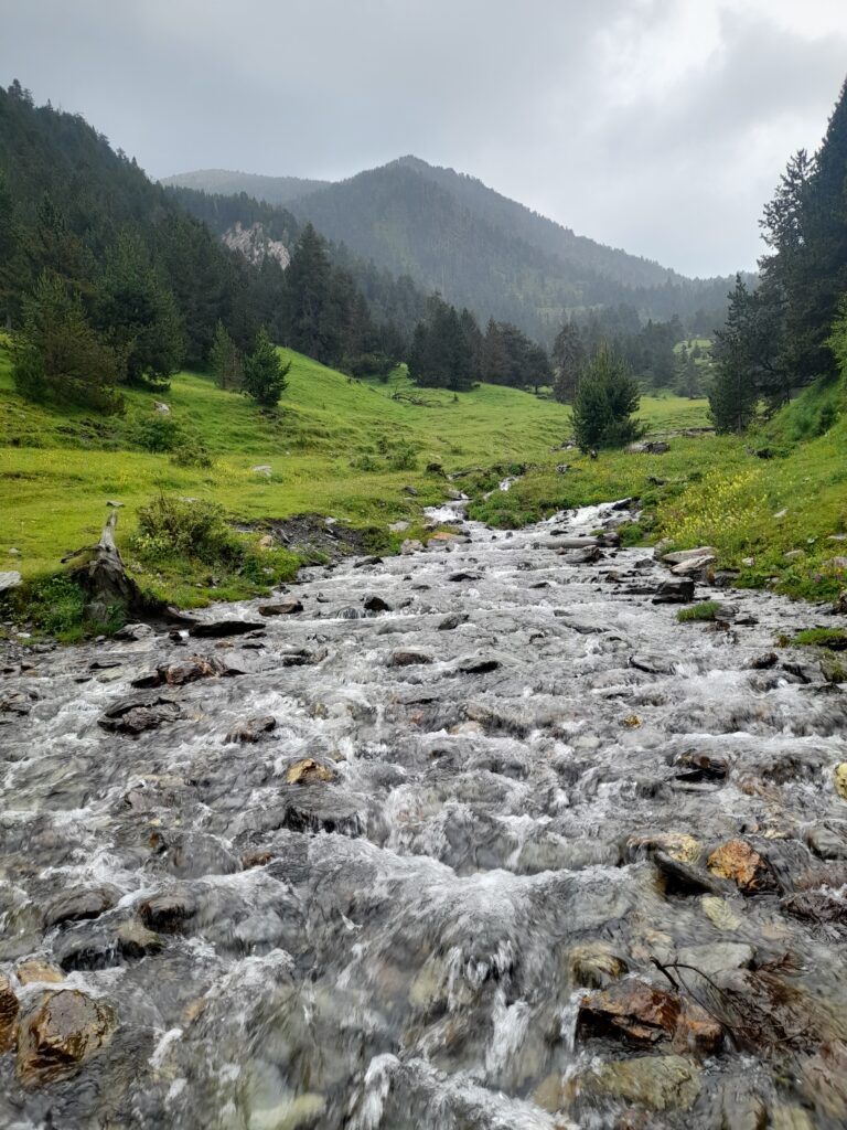 riu de la muntanya de Tor, port de Cabús