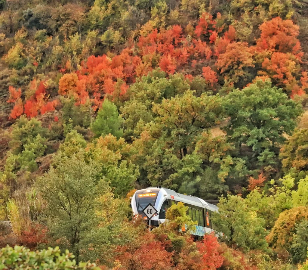 El tren de la línia convencional creuant un bosc amb colors de tardor al Pallars Jussà